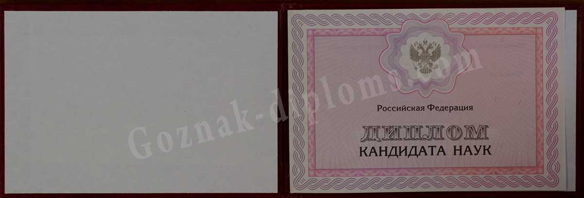 Диплом кандидата наук 2007-2026