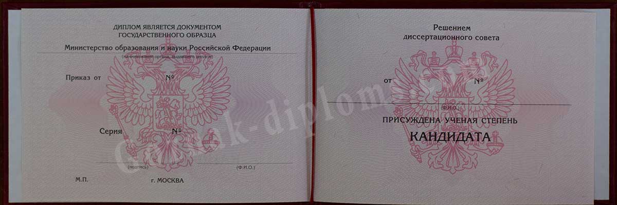 Диплом кандидата наук 2007-2026
